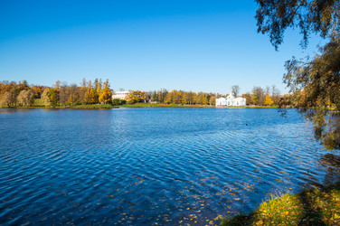 вид на городской парк - gumbao