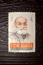 почтовая марка ссср с портретом академика ивана павлова - YuYu_art