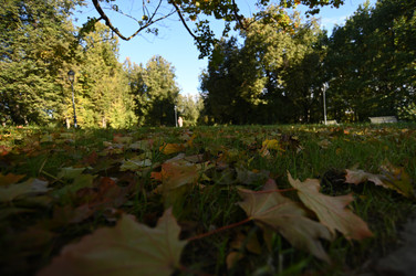 Осень - PhotoStudent