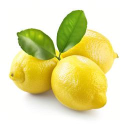 Three ripe yellow lemons with fresh green leaves - yliv