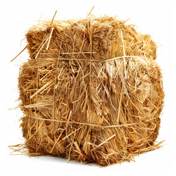 Square bale of hay tied with twine sitting on white background - yliv