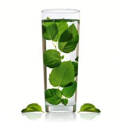 Glass of water with fresh green leaves showing healthy lifestyle - yliv