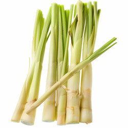 Fresh lemongrass stalks forming a bundle on white background - yliv