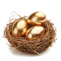 Golden eggs nestled in a secure and profitable investment strategy - yliv