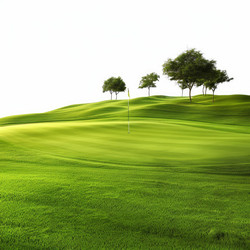 Lush green grass covers a golf course with a yellow flag marking the hole - yliv