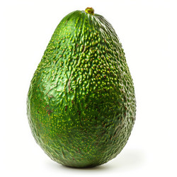 Ripe green avocado standing upright on white background - yliv