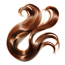 Long healthy brown hair flowing on white background - yliv