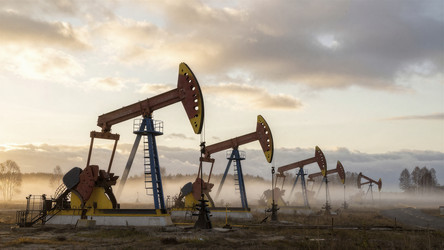 нефтяные насосы в туманном поле - Vvicca