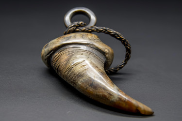 Polished animal horn pendant with a braided cord lying on a dark surface - yliv