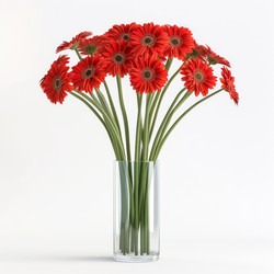 Bouquet of red gerbera daisies standing in a glass vase on a white background - yliv