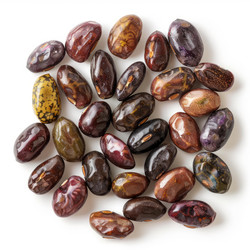 Close up of anasazi beans displaying a variety of colors and patterns, captured on a white background - yliv