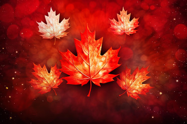 Red and white maple leaves falling against a bokeh background with glittering stars, celebrating canada - yliv