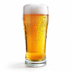 Chilled golden lager beer in a pilsner glass with condensation and a thick foamy head, isolated on white - yliv