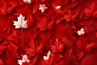 Red maple leaves forming a vibrant and celebratory backdrop, ideal for canada day or autumn themed projects - yliv