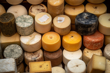 Cheese wheels gourmet selection. Generate ai - yliv