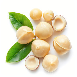 Shelled macadamia nuts with leaves resting on white background - yliv