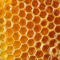 Close up view of honeycomb structure, revealing golden nectar filling each cell - yliv