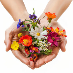 Woman holding bouquet of colorful wildflowers in her hands - yliv