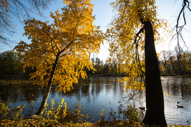 вид на городской парк осенью - gumbao