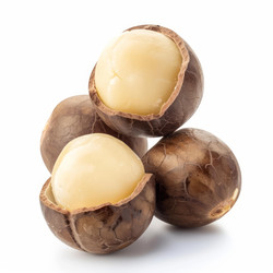 Macadamia nuts showing cracked shells revealing nutmeat on white background - yliv
