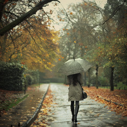 Woman with umbrella walking down a path covered in colorful fallen leaves - yliv