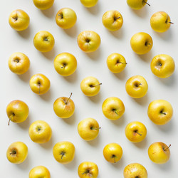 Pattern of ripe yellow golden apples forming lines on white background - yliv