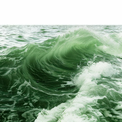 Emerald green ocean wave breaking with white foam - yliv