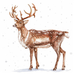 Noble deer standing in falling snow, winter wildlife scene - yliv
