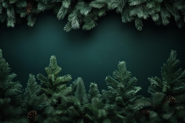 Christmas border made of fir branches and pine cones framing dark green background - yliv