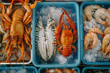 Fresh seafood displayed on ice in blue trays at market - yliv