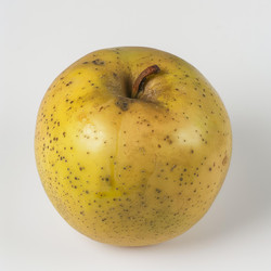 спелое желтое яблоко с признаками гниения на белом фоне - yliv