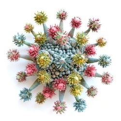 Colorful virus or bacteria showing spikes and globules on white background - yliv