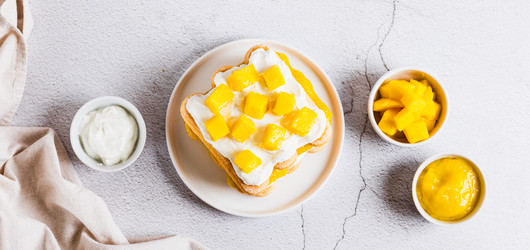 Delicious tiramisu with cookies, mango purée, and cream cheese, served on a plate top view web banner - Elena Rui