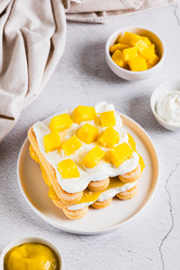 Delicious tiramisu with cookies, mango purée, and cream cheese, served on a plate on a table vertical view - Elena Rui