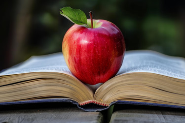 красное яблоко, лежащее на открытой книге, символизирует образование - yliv