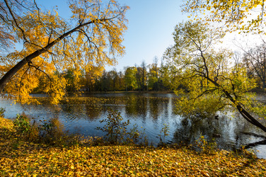вид на городской парк осенью - gumbao