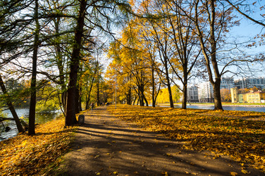 вид на городской парк осенью - gumbao