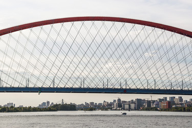 Бугринский мост, Новосибирск, Россия, 2024 - Tatiana_Panova