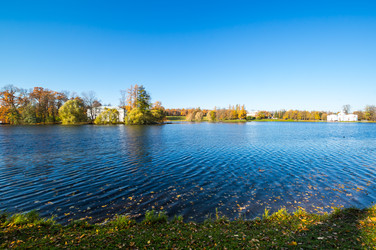 вид на городской парк - gumbao