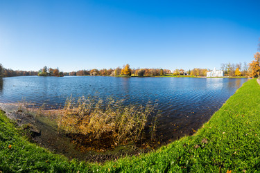 вид на городской парк - gumbao