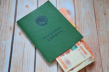Трудовая книжка, деньги на деревянном фоне - svetaliya