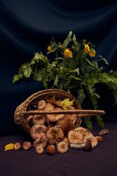 Корзина со свежесобранными грибами на столе с осенними листьями - DanaTrubinsh