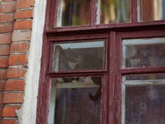 Старое деревянное окно с красной рамой на кирпичной стене. Old Wooden Window with Red Frame on a Brick Wall - Pilipanastasia
