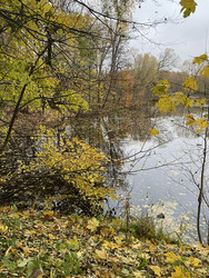 Осень в парке - Anastasia_y