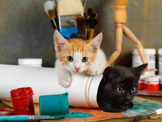 Two lovely mischievous kittens played pranks on the artist's table - alkir