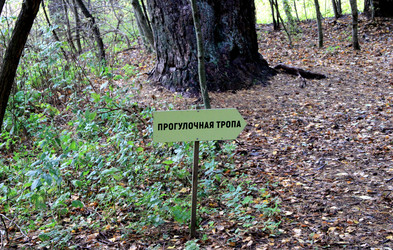 Указатель прогулочной тропы в лесу - Zauberfloten