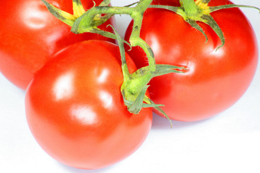 Red tomato - ru3apr