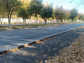 Осенний городской пейзаж — аллея с пожелтевшими деревьями вдоль асфальтированной дороги, опавшие листья на тротуаре, длинные тени от утреннего солнца, перспектива - Mihail_direct