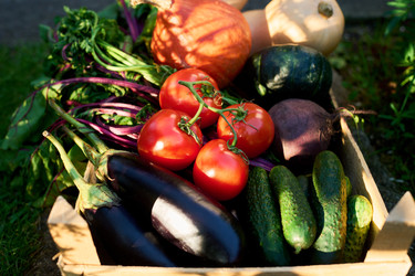 Свежие овощи в деревянном ящике для продажи органических продуктов питания - Pressmaster