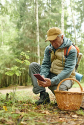 Senior Man Using Smartphone for Plant Identification in Forest - SeventyFour